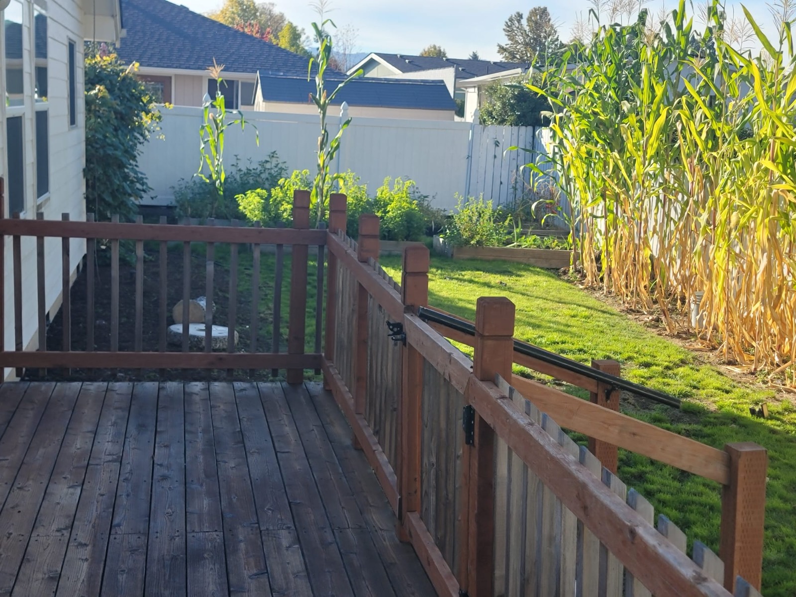 View from the back deck over its railing to the lawn and garden beds.